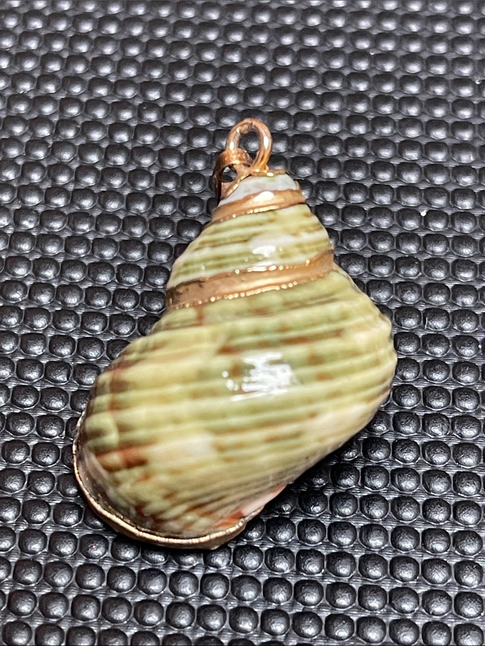 Vintage green and brown spotted natural seashell with gold accents - 1.35” long